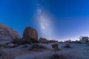 facts about Joshua Tree