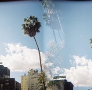 120mm Film Shot on a Holga, of palm trees in Hollywood.