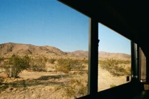 Joshua Tree 35mm